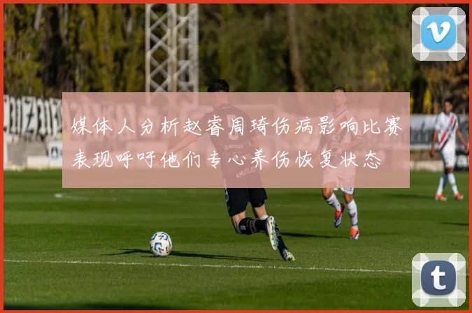 媒体人分析赵睿周琦伤病影响比赛表现呼吁他们专心养伤恢复状态