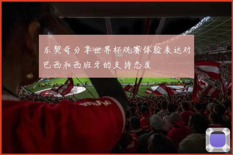 东契奇分享世界杯观赛体验表达对巴西和西班牙的支持态度